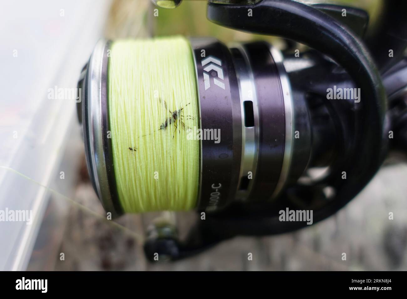 Tangled up hires stock photography and images Alamy