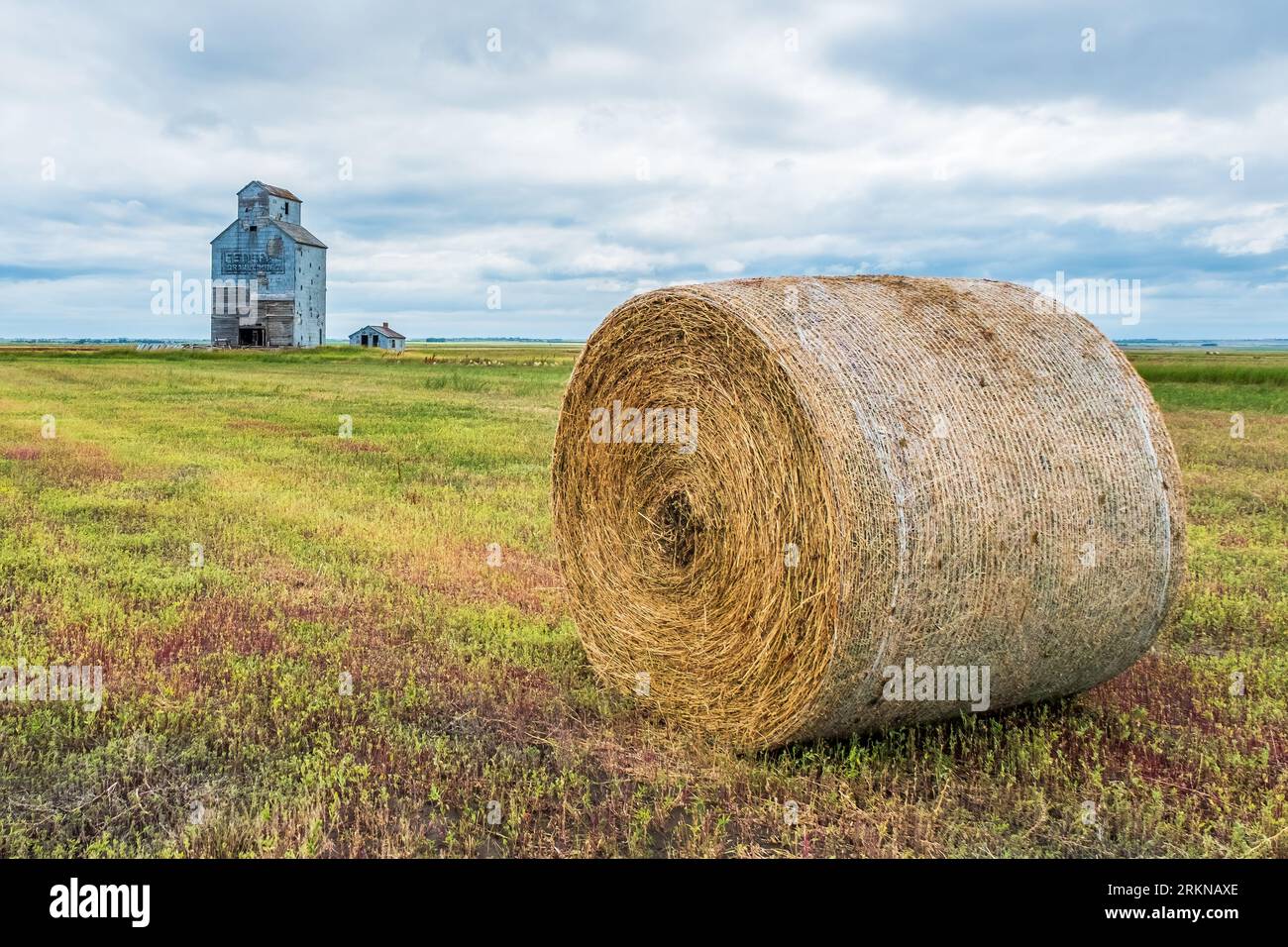 A large round bale of straw in a field with an old grain elevator in the background in rural Saskatchewan. Stock Photo