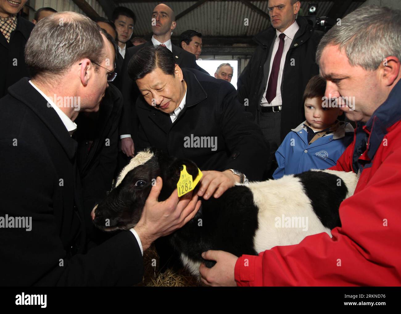 Bildnummer: 57090788  Datum: 19.02.2012  Copyright: imago/Xinhua (120219) -- SHANNON, Feb. 19, 2012 (Xinhua) -- Chinese Vice President Xi Jinping (2nd L, front) and Irish Agriculture, Food and Marine Minister Simon Coveney (1st L, front) view a calf at a farm in Shannon, Ireland, Feb. 19, 2012. Xi Jinping visited James Lynch s farm in a suburb of Shannon on Sunday. (Xinhua/Lan Hongguang) (zkr) IRELAND-CHINA-XI JINPING-FARM-VISIT PUBLICATIONxNOTxINxCHN People Politik xbs x0x 2012 quer premiumd      57090788 Date 19 02 2012 Copyright Imago XINHUA  Shannon Feb 19 2012 XINHUA  Vice President Xi J Stock Photo