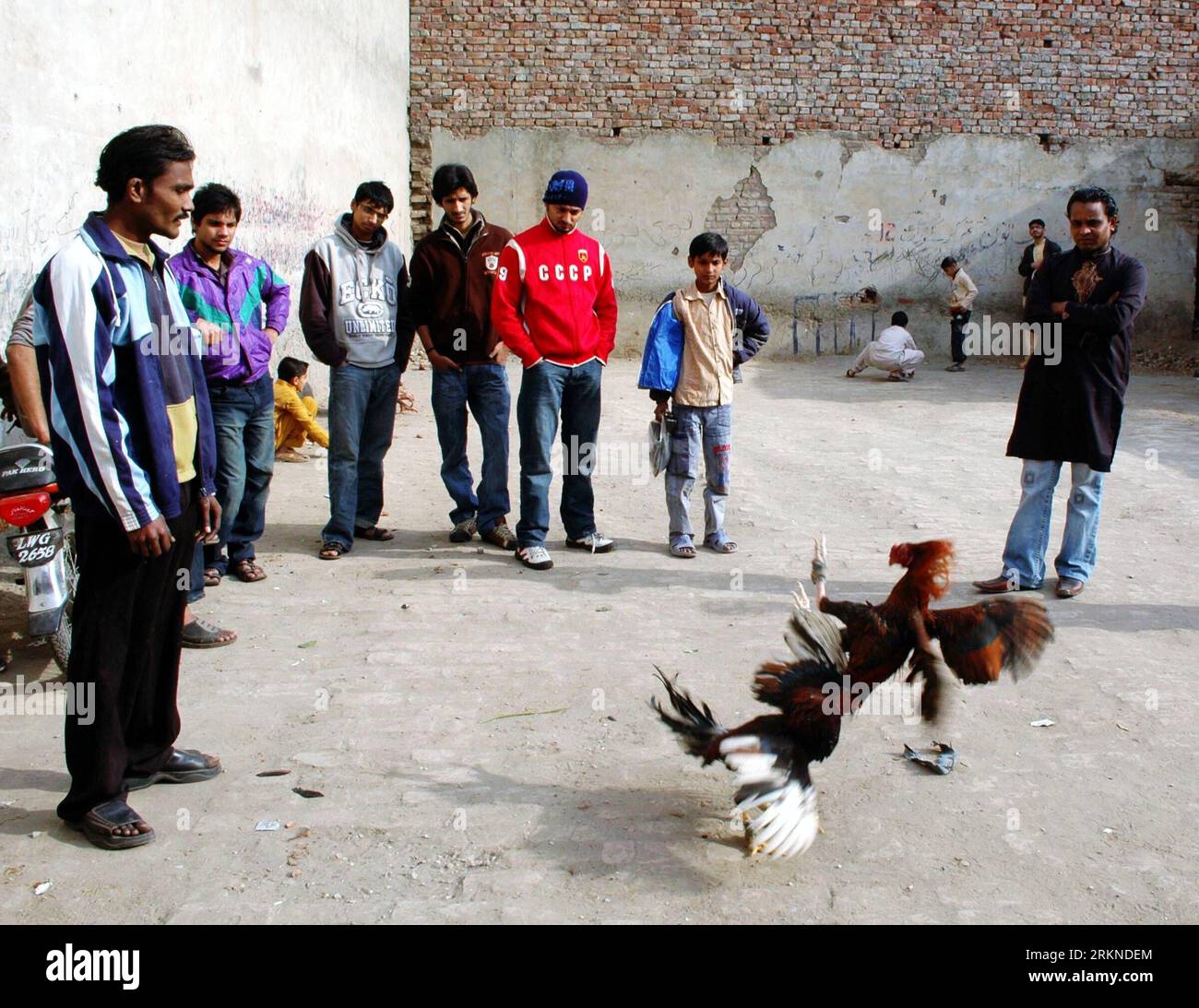 Bildnummer: 57093176  Datum: 20.02.2012  Copyright: imago/Xinhua (120220) -- LAHORE, Feb. 20, 2012 (Xinhua) -- Pakistani men watch a rooster fight in a Christian neighborhood of eastern Pakistan s Lahore on Feb. 20, 2012. Rooster fighting is popular in Pakistan but the fights often take place in quiet residential streets rather than in open grounds as betting is not allowed in public places. (Xinhua/Sajjad) (dzl) PAKISTAN-LAHORE-ROOSTER FIGHT PUBLICATIONxNOTxINxCHN Gesellschaft Tier Hahn Kampf Hahnenkampf xbs x0x 2012 quer      57093176 Date 20 02 2012 Copyright Imago XINHUA  Lahore Feb 20 201 Stock Photo