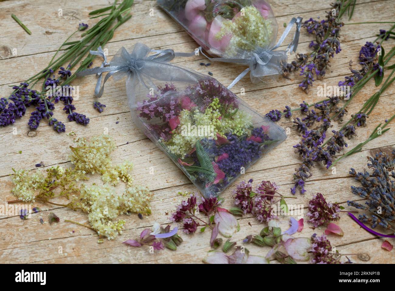 selfmade scented sachets, different scented plants a put in gauze sacs: lavender, rose flowers, Meadow Sweet, Marjoram and Hyssop Stock Photo
