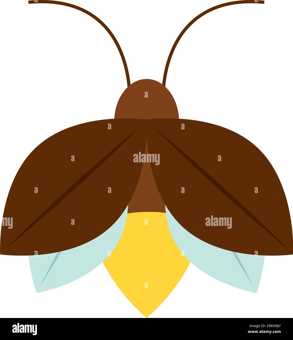 Isolated colored firefly insect animal icon Vector Stock Vector Image ...