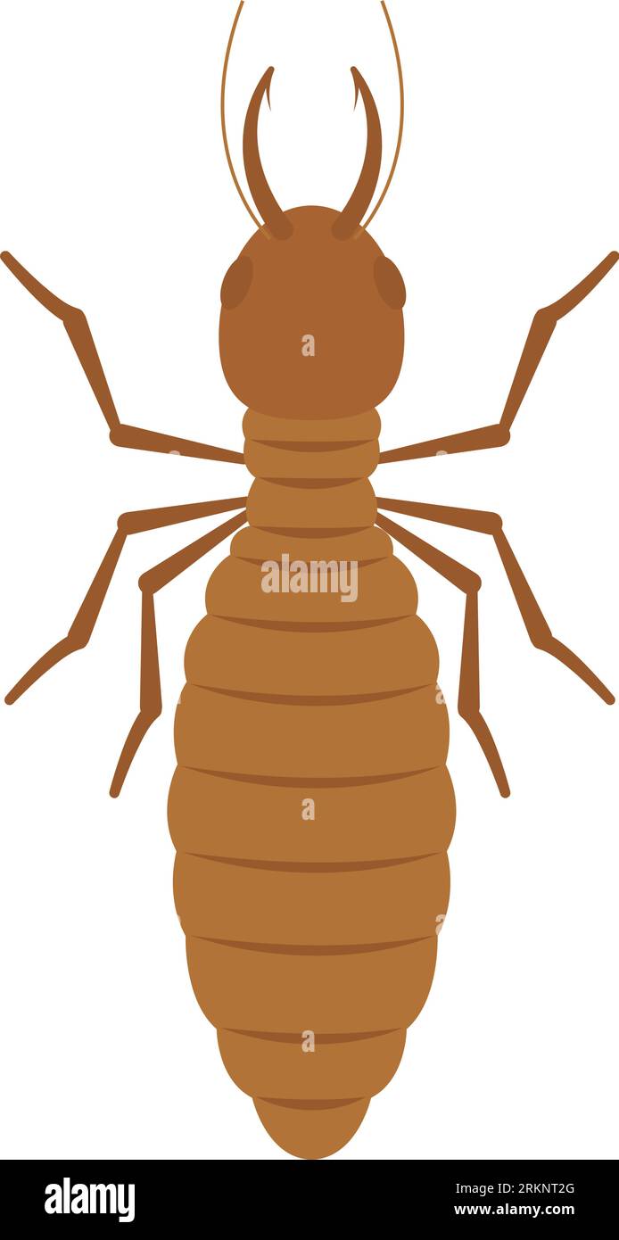 Isolated colored ant insect animal icon Vector Stock Vector Image & Art ...