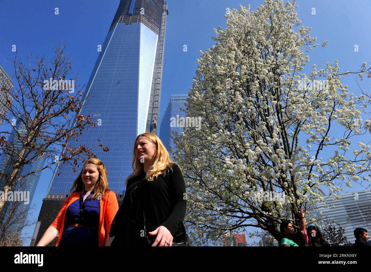 Survivor tree memorial hi-res stock photography and images - Alamy