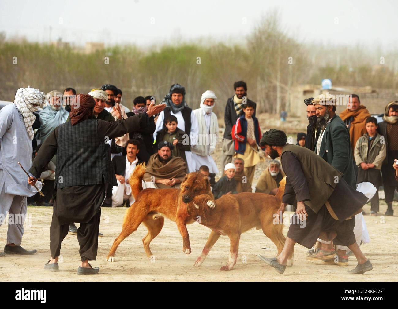 Herat and kabul hi-res stock photography and images - Alamy