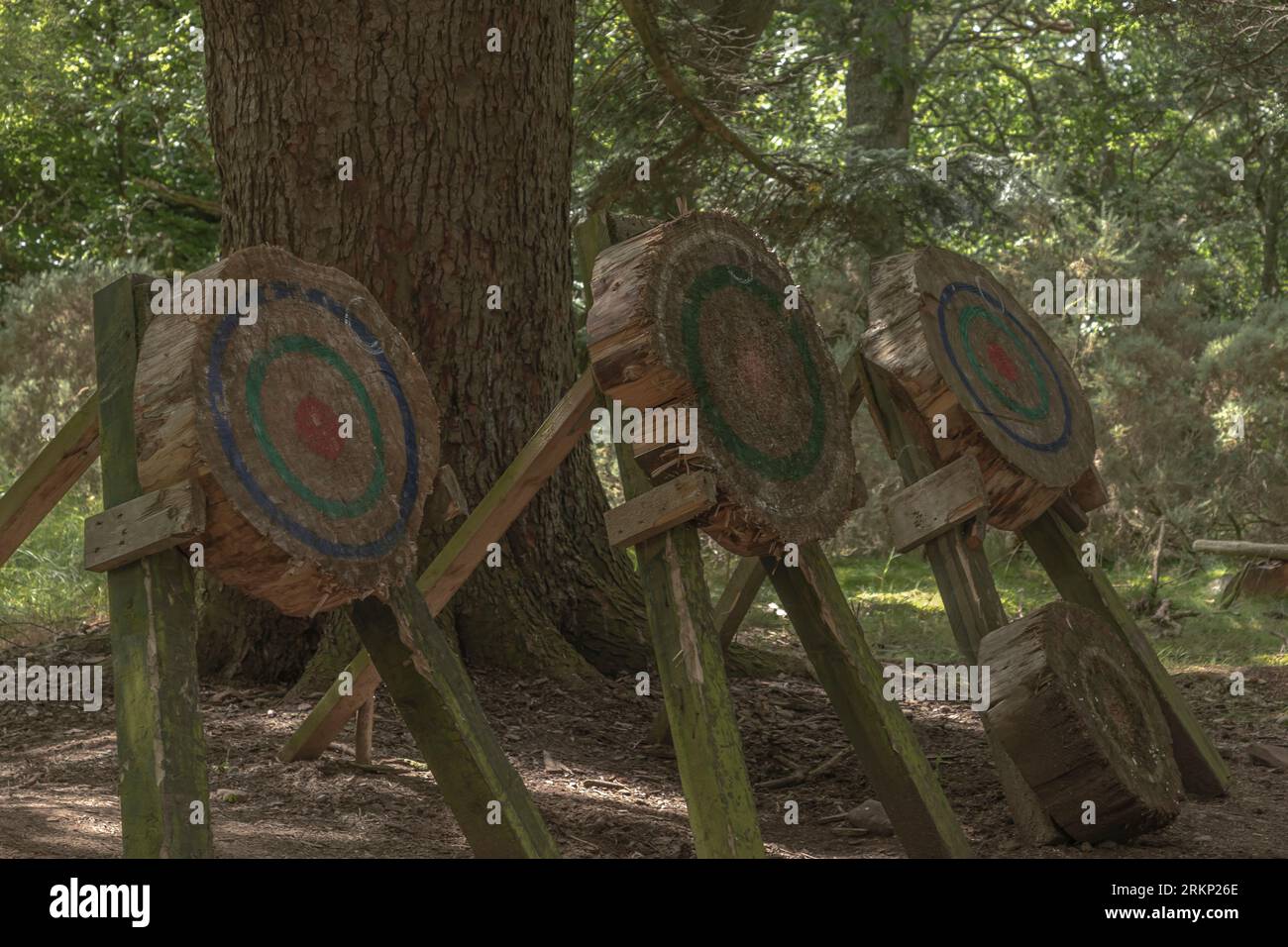Targets that are rough made used for axe throwing practice set up in