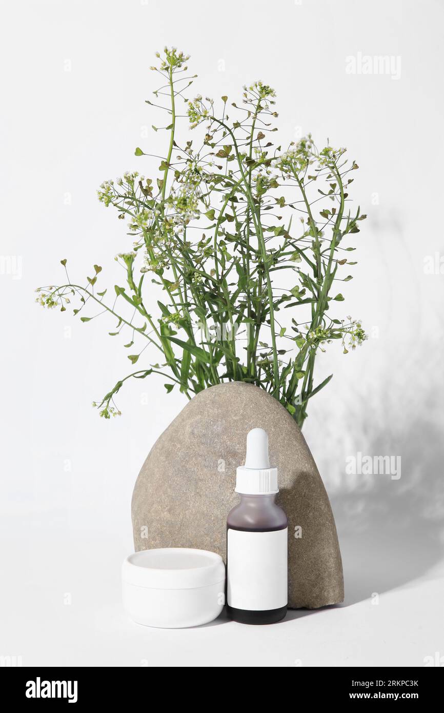 Cosmetic products, stone and bunch of camelina sativa on white background Stock Photo