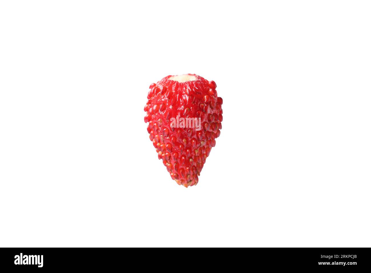 One ripe wild strawberry isolated on white Stock Photo - Alamy
