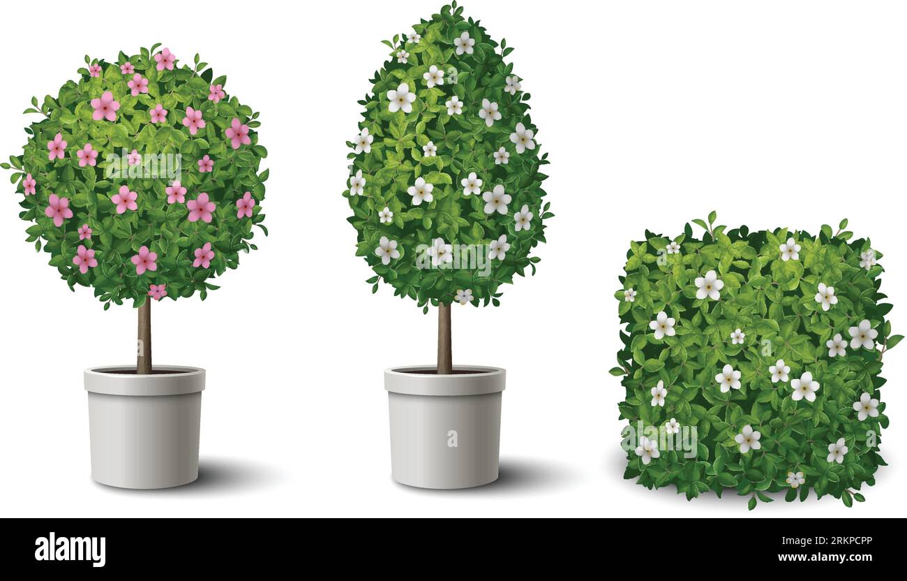 Topiary garden shrubs Stock Vector Images - Alamy