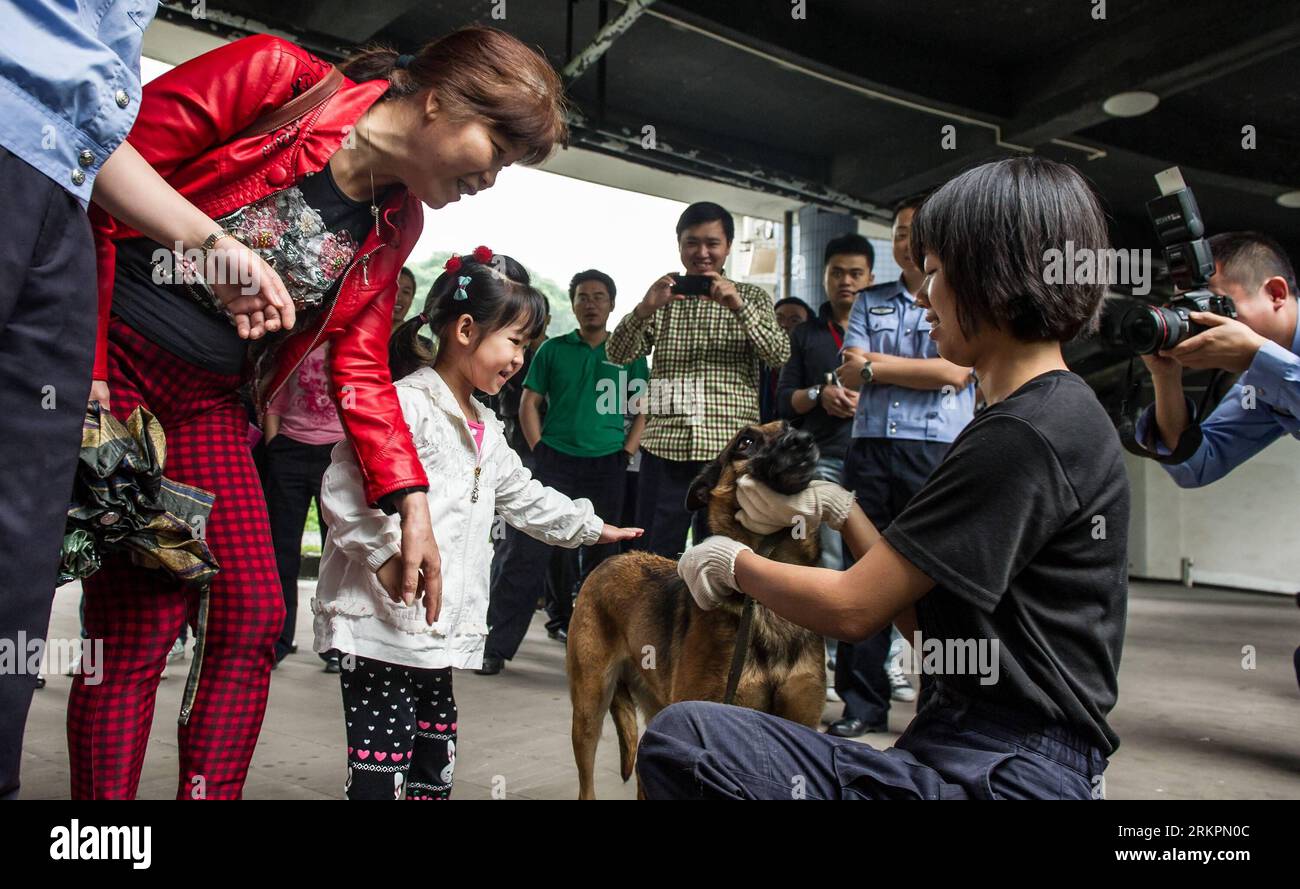 Bildnummer: 58030736  Datum: 24.05.2012  Copyright: imago/Xinhua (120524) -- CHONGQING, May 24, 2012 (Xinhua) -- A small girl touches back of the police dog Yaya at the tracker dog base of the Municipal Public Security Bureau in Chongqing, southwest China, May 24, 2012. More than 30 citizens were invited to visit the base on Thursday. (Xinhua/Chen Cheng)(mcg) CHINA-CHONGQING-TRACKER DOG BASE (CN) PUBLICATIONxNOTxINxCHN Gesellschaft Polizei Polizeihund Ausbildung x0x xkg 2012 quer      58030736 Date 24 05 2012 Copyright Imago XINHUA  Chongqing May 24 2012 XINHUA a Small Girl touches Back of The Stock Photo