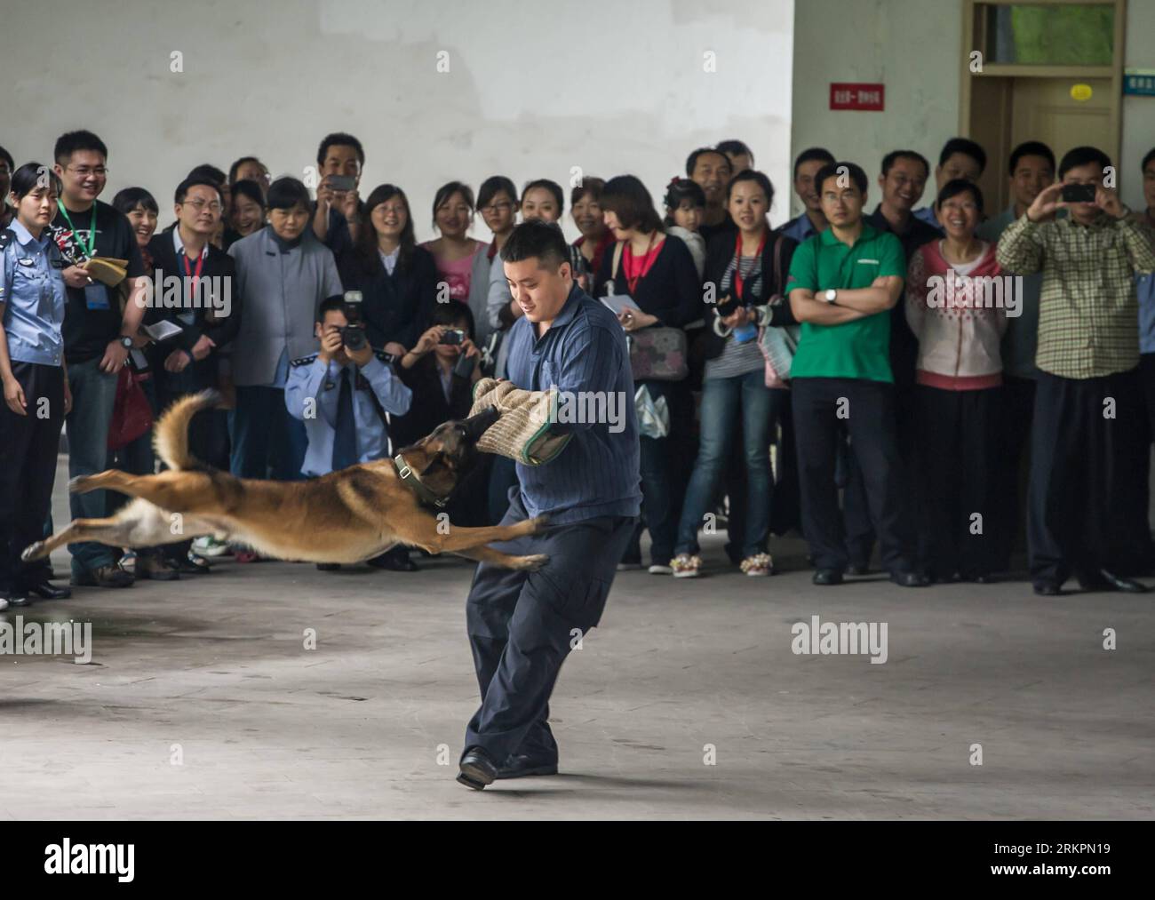 Bildnummer: 58030737  Datum: 24.05.2012  Copyright: imago/Xinhua (120524) -- CHONGQING, May 24, 2012 (Xinhua) -- Citizens watch a skill show of police dogs at the tracker dog base of the Municipal Public Security Bureau in Chongqing, southwest China, May 24, 2012. More than 30 citizens were invited to visit the base on Thursday. (Xinhua/Chen Cheng)(mcg) CHINA-CHONGQING-TRACKER DOG BASE (CN) PUBLICATIONxNOTxINxCHN Gesellschaft Polizei Polizeihund Ausbildung x0x xkg 2012 quer      58030737 Date 24 05 2012 Copyright Imago XINHUA  Chongqing May 24 2012 XINHUA Citizens Watch a Skill Show of Police Stock Photo
