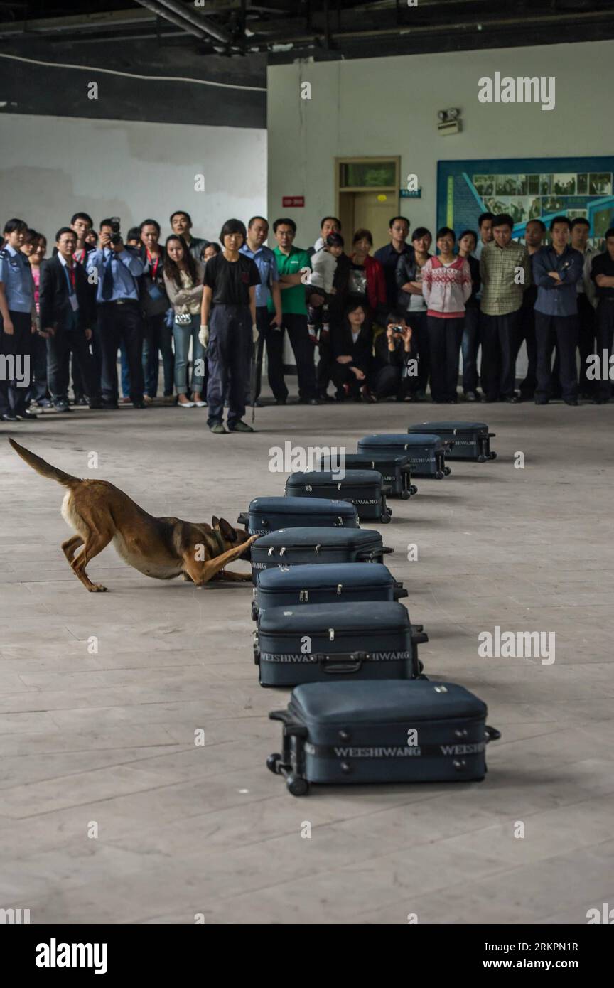 Bildnummer: 58030735  Datum: 24.05.2012  Copyright: imago/Xinhua (120524) -- CHONGQING, May 24, 2012 (Xinhua) -- Citizens watch a skill show of police dogs at the tracker dog base of the Municipal Public Security Bureau in Chongqing, southwest China, May 24, 2012. More than 30 citizens were invited to visit the base on Thursday. (Xinhua/Chen Cheng)(mcg) CHINA-CHONGQING-TRACKER DOG BASE (CN) PUBLICATIONxNOTxINxCHN Gesellschaft Polizei Polizeihund Ausbildung x0x xkg 2012 hoch      58030735 Date 24 05 2012 Copyright Imago XINHUA  Chongqing May 24 2012 XINHUA Citizens Watch a Skill Show of Police Stock Photo
