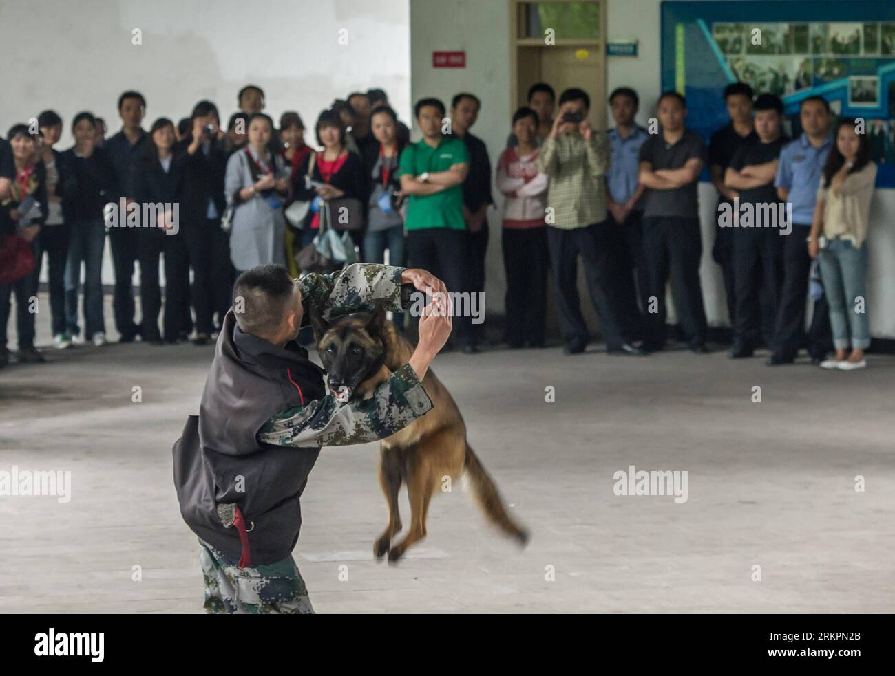 Bildnummer: 58030738  Datum: 24.05.2012  Copyright: imago/Xinhua (120524) -- CHONGQING, May 24, 2012 (Xinhua) -- Citizens watch a skill show of police dogs at the tracker dog base of the Municipal Public Security Bureau in Chongqing, southwest China, May 24, 2012. More than 30 citizens were invited to visit the base on Thursday. (Xinhua/Chen Cheng)(mcg) CHINA-CHONGQING-TRACKER DOG BASE (CN) PUBLICATIONxNOTxINxCHN Gesellschaft Polizei Polizeihund Ausbildung x0x xkg 2012 quer      58030738 Date 24 05 2012 Copyright Imago XINHUA  Chongqing May 24 2012 XINHUA Citizens Watch a Skill Show of Police Stock Photo