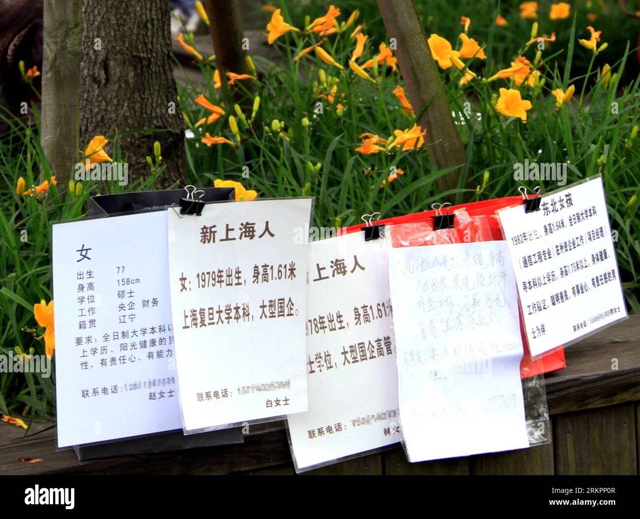 Bildnummer: 58037151  Datum: 26.05.2012  Copyright: imago/Xinhua (120527) -- SHANGHAI, May 27, 2012 (Xinhua) -- Information cards of single are shown in a match-making fair in Shanghai, east China, May 26, 2012. (Xinhua/Fan Xiaoming) (ry) CHINA-SHANGHAI-MATCHMAKING FAIR (CN) PUBLICATIONxNOTxINxCHN Gesellschaft Singlebörse Partnerbörse Messe Partnersuche Dating Single xdp x0x 2012 quer      58037151 Date 26 05 2012 Copyright Imago XINHUA  Shanghai May 27 2012 XINHUA Information Cards of Single are Shown in a Match Making Fair in Shanghai East China May 26 2012 XINHUA supporter Xiao Ming Ry Chin Stock Photo