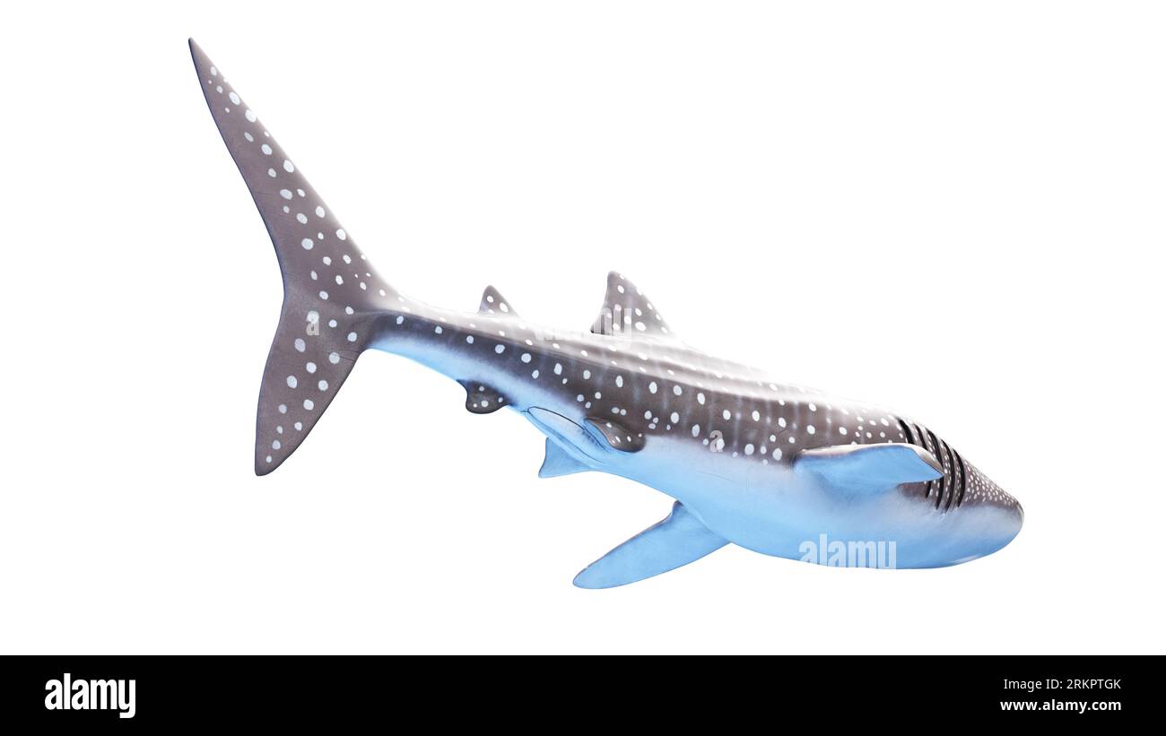 Sea Animals Stock Photo - Download Image Now - Toy, Whale, Shark - iStock