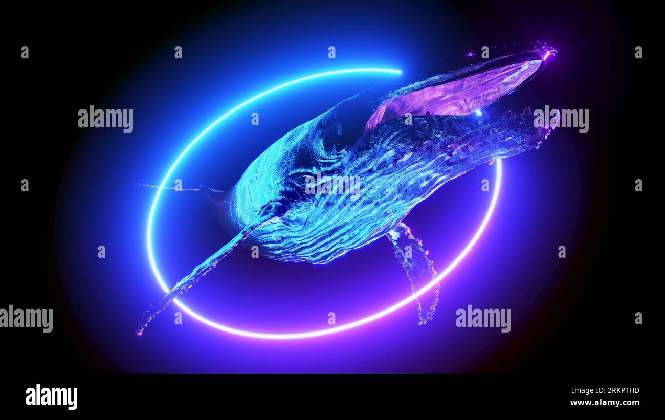 Digital whale hi-res stock photography and images - Alamy