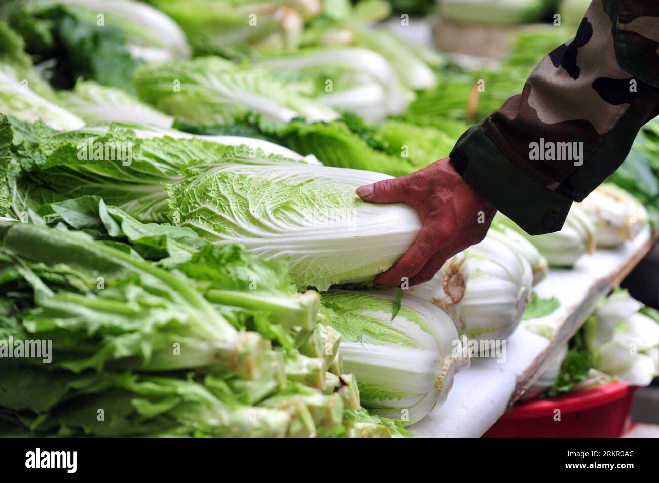120609 -- NANNING, June 9, 2012 Xinhua -- A citizen selects Chinese cabbage at a market in Nanning, capital of south China s Guangxi Zhuang Autonomous Region, May 5, 2012. China s consumer price index CPI, a main gauge of inflation, slowed to 3.0 percent year-on-year in May, the National Bureau of Statistics NBS said Saturday. It marked a 17-month-low, easing from April s 3.4 percent and 3.6 percent in March. Xinhua/Huang Xiaobang lfj CHINA-MAY CPI-SLOW GROWTH CN PUBLICATIONxNOTxINxCHN Stock Photo