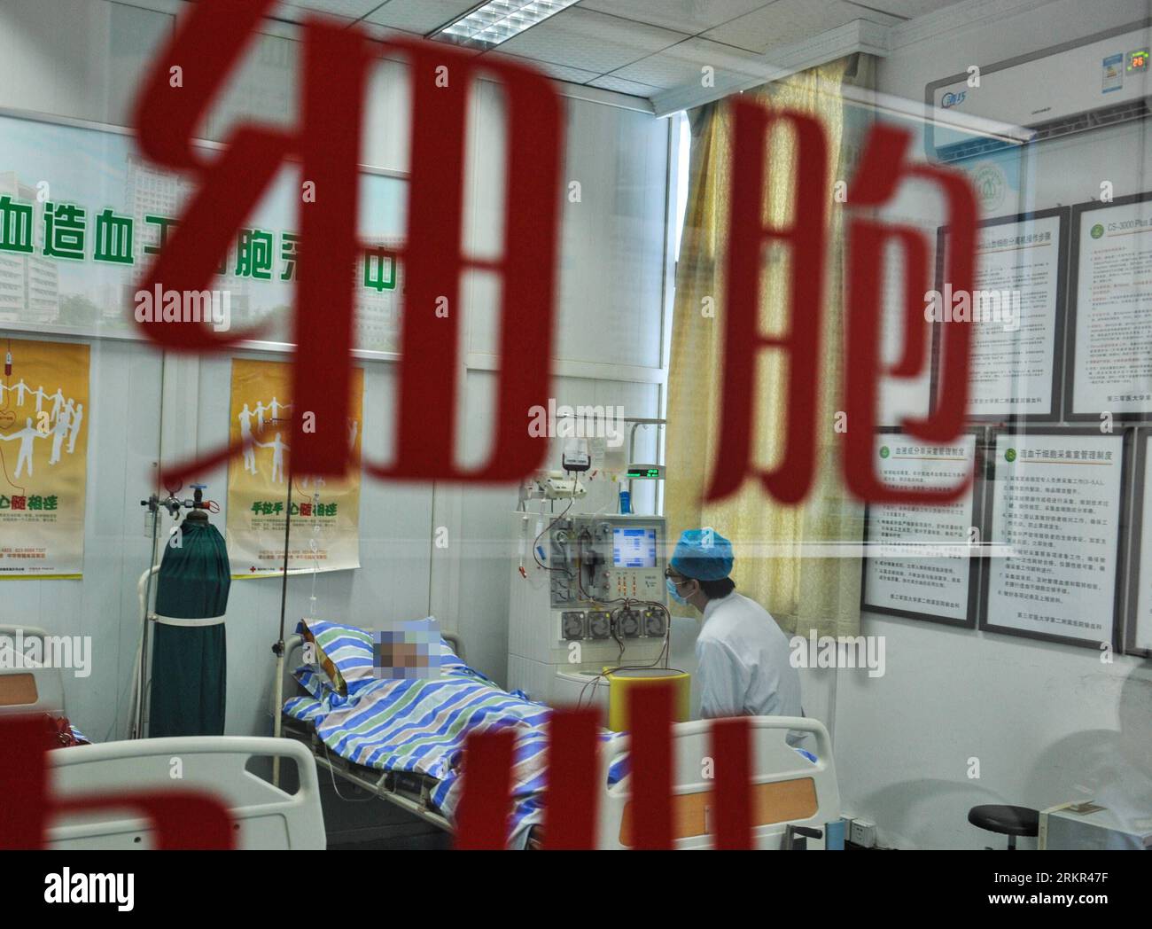 Bildnummer: 58115358  Datum: 18.06.2012  Copyright: imago/Xinhua (120618) -- CHONGQING, June 18, 2012 (Xinhua) -- A doctor withdraws stem cells from the prisoner father surnamed Gao to save his son Jun Jie at Xinqiao Hospital in Chongqing, southwest China, June 14, 2012. A family is facing an anxious wait to see whether a bone marrow transplant, made possible by the incarcerated father s rare trans-provincial prison transfer, has saved their son s life. PUBLICATIONxNOTxINxCHN Gesellschaft Fotostory Leukämie Medizin Knochenmarkspende Stammzellen Stammzellentherapie Spende xjh x2x 2012 quer Stock Photo