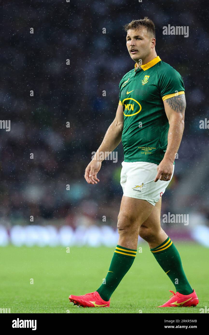 Both springboks hi-res stock photography and images - Page 11
