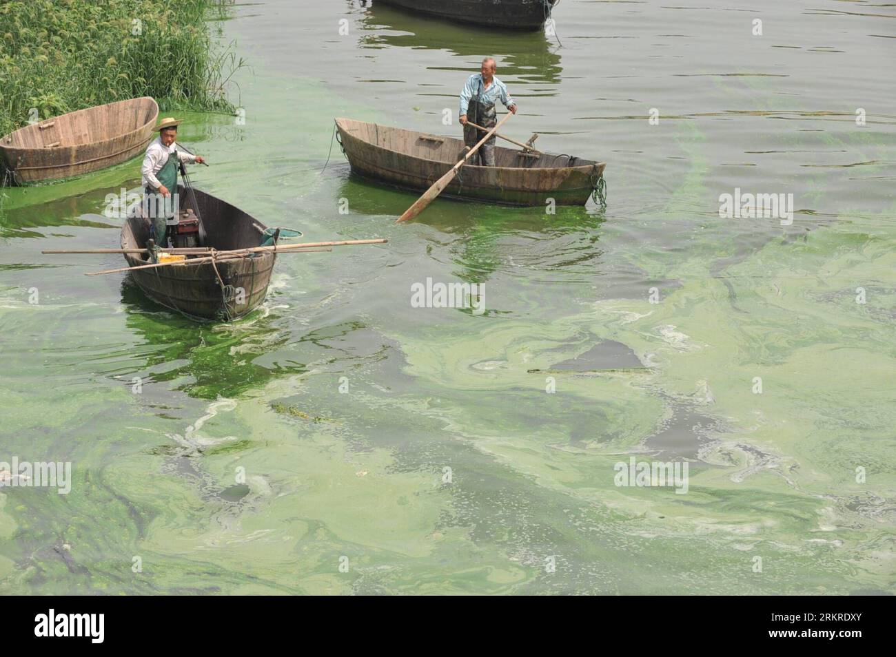 Algenbefall hires stock photography and images Alamy