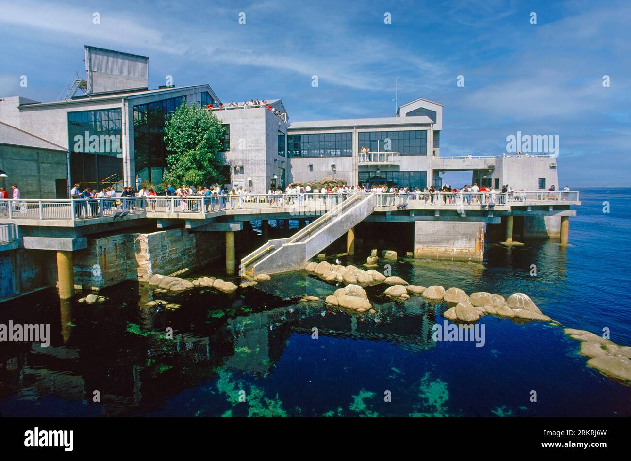 Monterey Aquarium, Monterey, California, USA Stock Photo Alamy