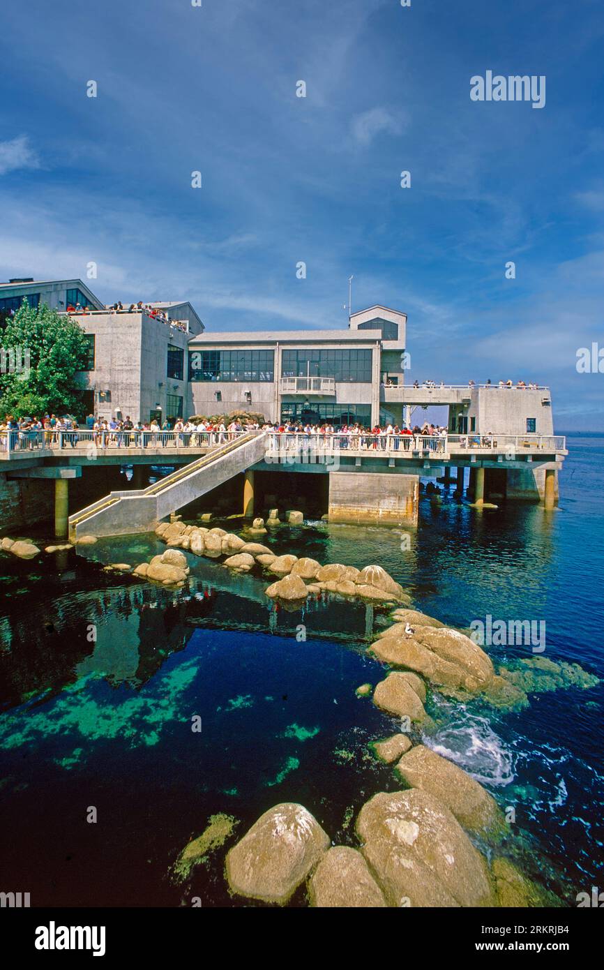 Monterey Aquarium, Monterey, California, USA Stock Photo Alamy