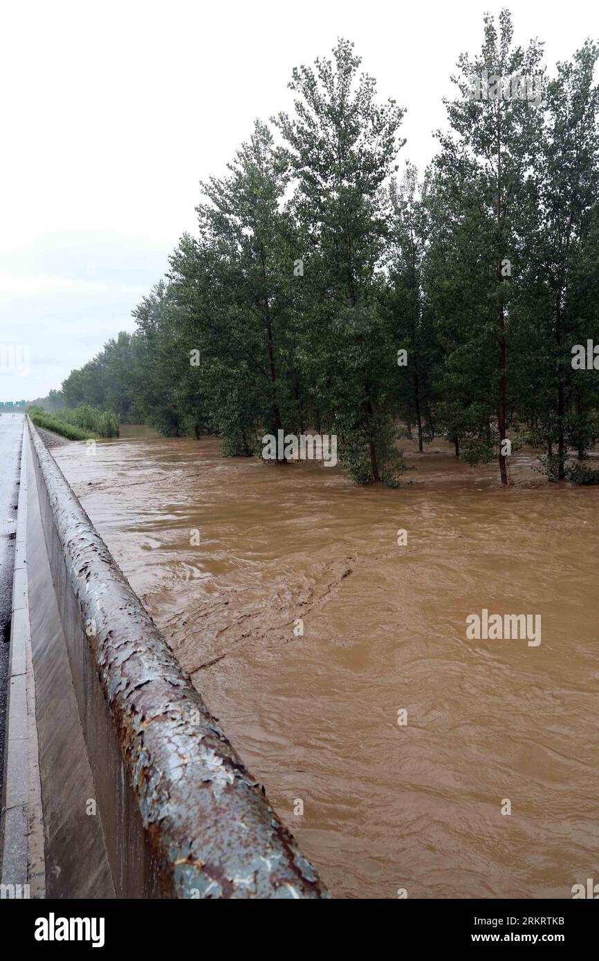 Bildnummer: 58308744  Datum: 04.08.2012  Copyright: imago/Xinhua (120804) -- YINGKOU, Aug. 4, 2012 (Xinhua) -- Flood inundates cropland and woodland in the Xiliu section of Haicheng River in Yingkou, northeast China s Liaoning Province, Aug. 4, 2012. Typhoon Damrey brought the southeastern part of Liaoning 100 to 220 mm of rainfall as of 4 a.m. Saturday, with a locality in the city of Anshan receiving 420 mm. (Xinhua/Yang Qing) (lfj) CHINA-LIAONING-TYPHOON DAMREY-FLOOD (CN) PUBLICATIONxNOTxINxCHN Gesellschaft Wetter Unwetter Hochwasser xda x0x premiumd 2012 hoch      58308744 Date 04 08 2012 C Stock Photo