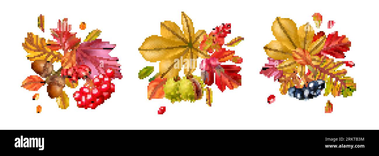 Realistic compositions consisting of colorful autumn fall leaves and ...
