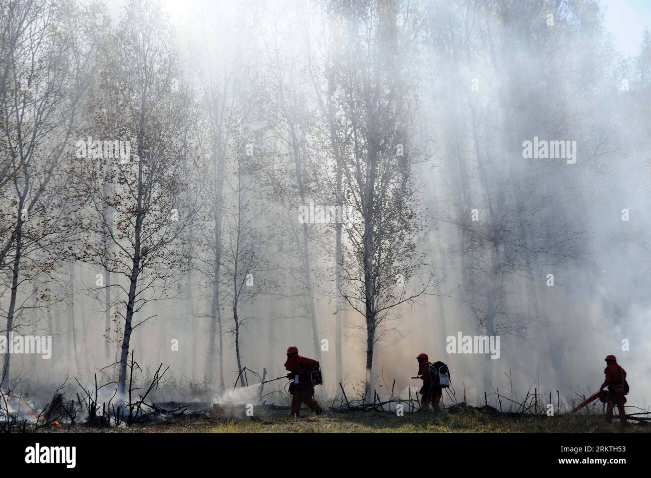 Bildnummer: 58481946  Datum: 17.09.2012  Copyright: imago/Xinhua (120917) -- GREATER KHINGAN, Sept. 17, 2012 (Xinhua) -- Firefrighters put out fire during a fire fighting drill in the Greater Khingan Range, north China s Inner Mongolia Province, Sept. 17, 2012. A joint large-scale drill was held here on Monday. (Xinhua/Zhang Ling) (cl) CHINA-INNER MONGOLIA-GREATER KHINGAN RANGE-FIRE FIGHTING DRILL (CN) PUBLICATIONxNOTxINxCHN Gesellschaft Feuerwehr Feuer Übung Feuerübung Feuerwehrübung x0x xmb 2012 quer      58481946 Date 17 09 2012 Copyright Imago XINHUA  Greater Khingan Sept 17 2012 XINHUA  P Stock Photo