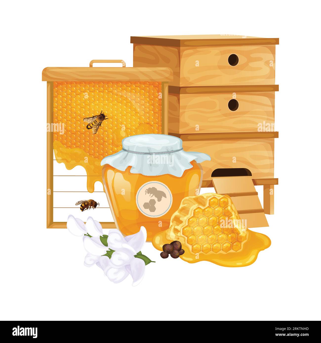 Beekeeping Realistic Design Concept With Beehive Honeycomb Filler And Jar Of Honey Vector 9892