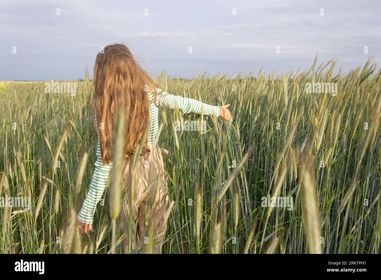 A girl with golden long hair in light clothes in the field touches the ...