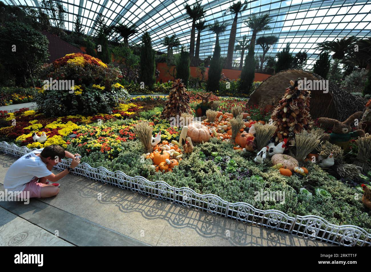 LEGO Carnivore plante et araignée de loisirs dans le Flower Dome à  Singapour Photo Stock - Alamy