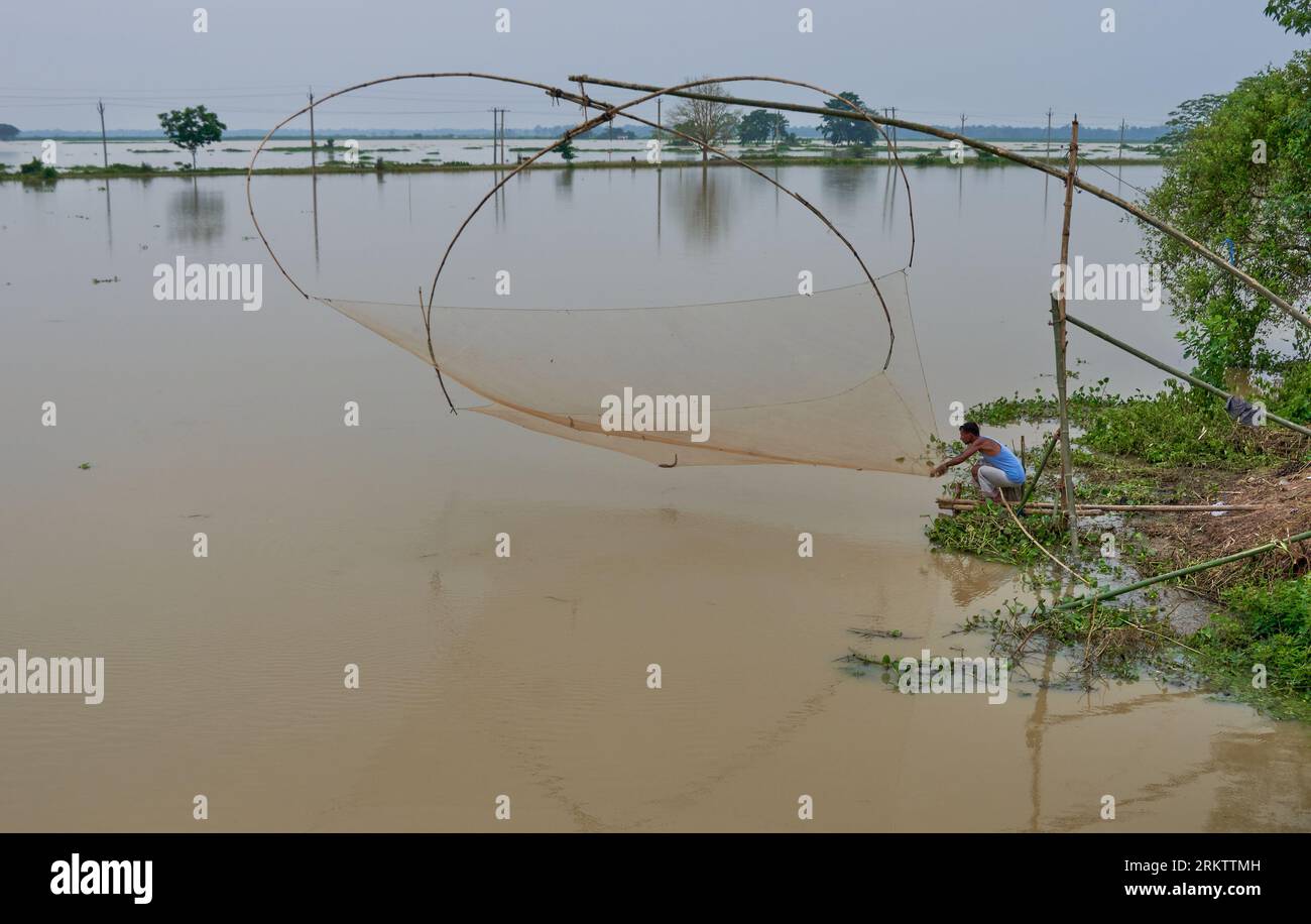 Fish catch in a traditional fishing net in flood waters Stock Photo