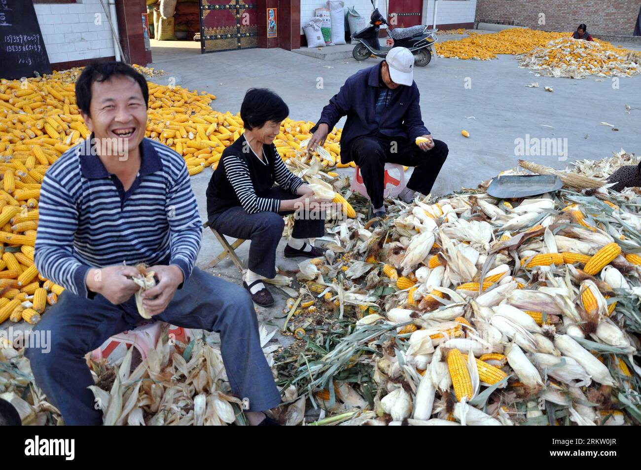 Bildnummer: 58582307  Datum: 12.10.2012  Copyright: imago/Xinhua (121012) -- XINJIANG, Oct. 12, 2012 (Xinhua) -- Villagers husk corns in Lujiazhuang Village of Xinjiang County, north China s Shanxi Province. Oct. 12, 2012. Xinjiang County has embraced a good harvest this year. (Xinhua/Wang Feihang) (mp) CHINA-SHANXI-XINJIANG-HARVEST (CN) PUBLICATIONxNOTxINxCHN Wirtschaft Messe Landwirtschaft Agrarmesse Landwirtschaftsmesse x0x xmb 2012 quer      58582307 Date 12 10 2012 Copyright Imago XINHUA  Xinjiang OCT 12 2012 XINHUA Villagers Husk corns in  Village of Xinjiang County North China S Shanxi Stock Photo