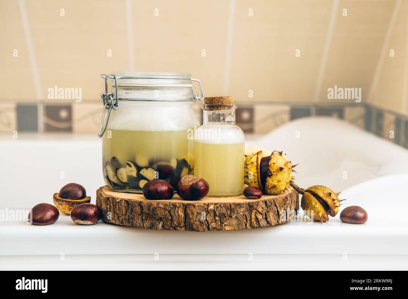 Natural liquid soap and shampoo concept. Soaking horse chestnut, Aesculus hippocastanum in water, witch containing natural saponin the cleaning matter. Stock Photo