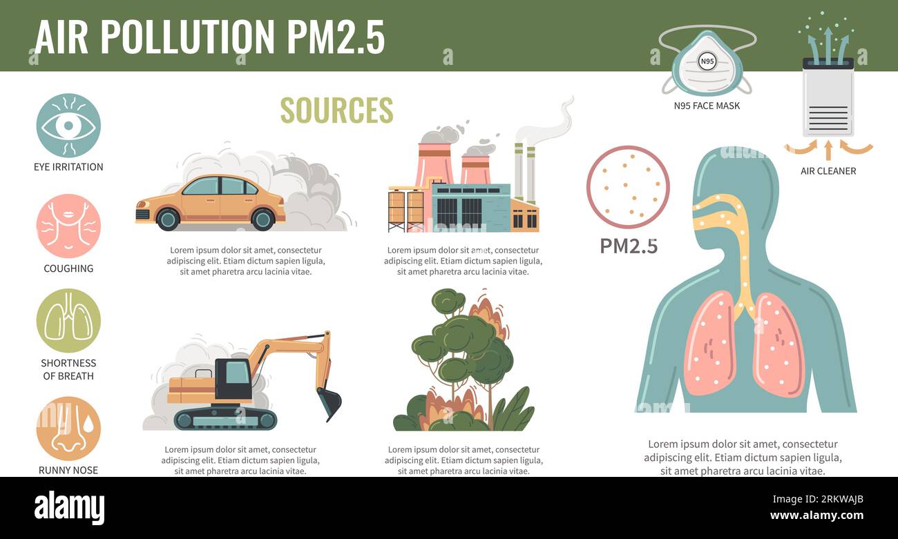 Air pollution pm2 5 particles flat infographics with round icons text