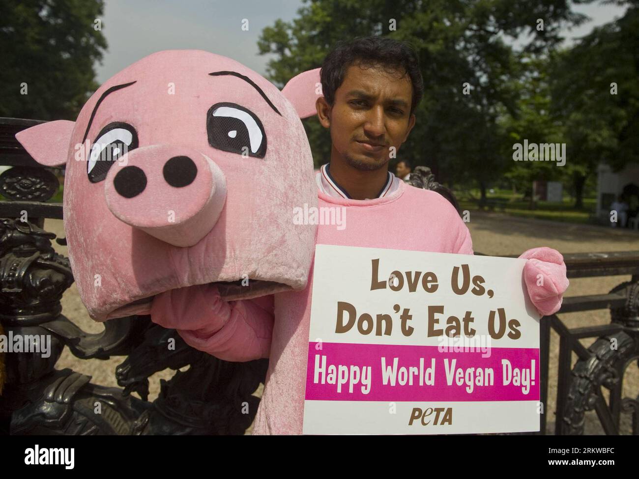 Bildnummer: 58657296  Datum: 01.11.2012  Copyright: imago/Xinhua (121101) -- CALCUTTA, Nov. 1, 2012 (Xinhua) -- An Indian activist of People for Ethical Treatment of Animals (PETA) dressed as pig demonstrates against the consumption of meat, dairy and other products derived from animals on World Vegan Day in Calcutta, India, Nov. 1, 2012. (Xinhua/Tumpa Mondal)(zyw) INDIA-CALCUTTA-WORLD VEGAN DAY PUBLICATIONxNOTxINxCHN Gesellschaft Demo Tierschutz Vegan Veganer Peta xas x0x 2012 quer premiumd      58657296 Date 01 11 2012 Copyright Imago XINHUA  Calcutta Nov 1 2012 XINHUA to Indian Activist of Stock Photo