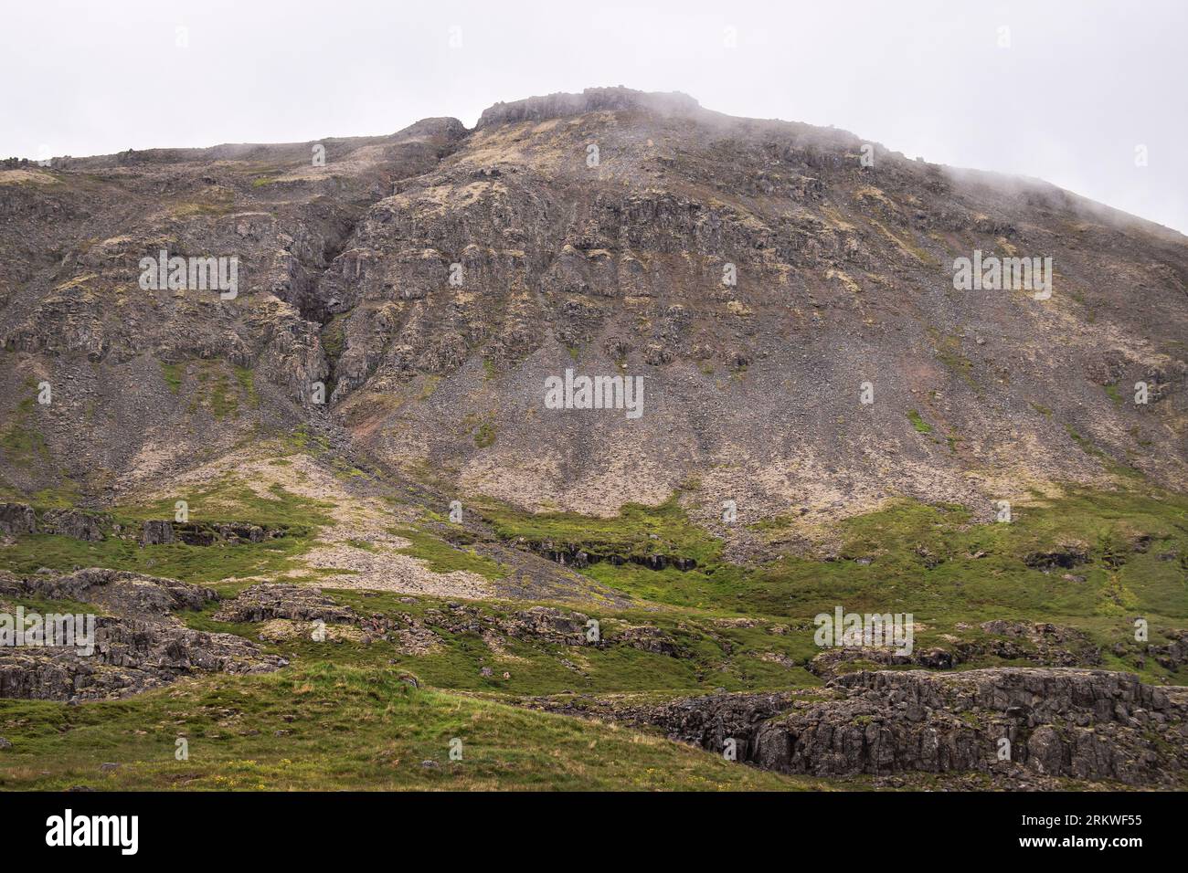 soils and rock layers on a barren hillside in the tundra biome near Dynjandi waterfall with lichens and mosses in the foreground Stock Photo