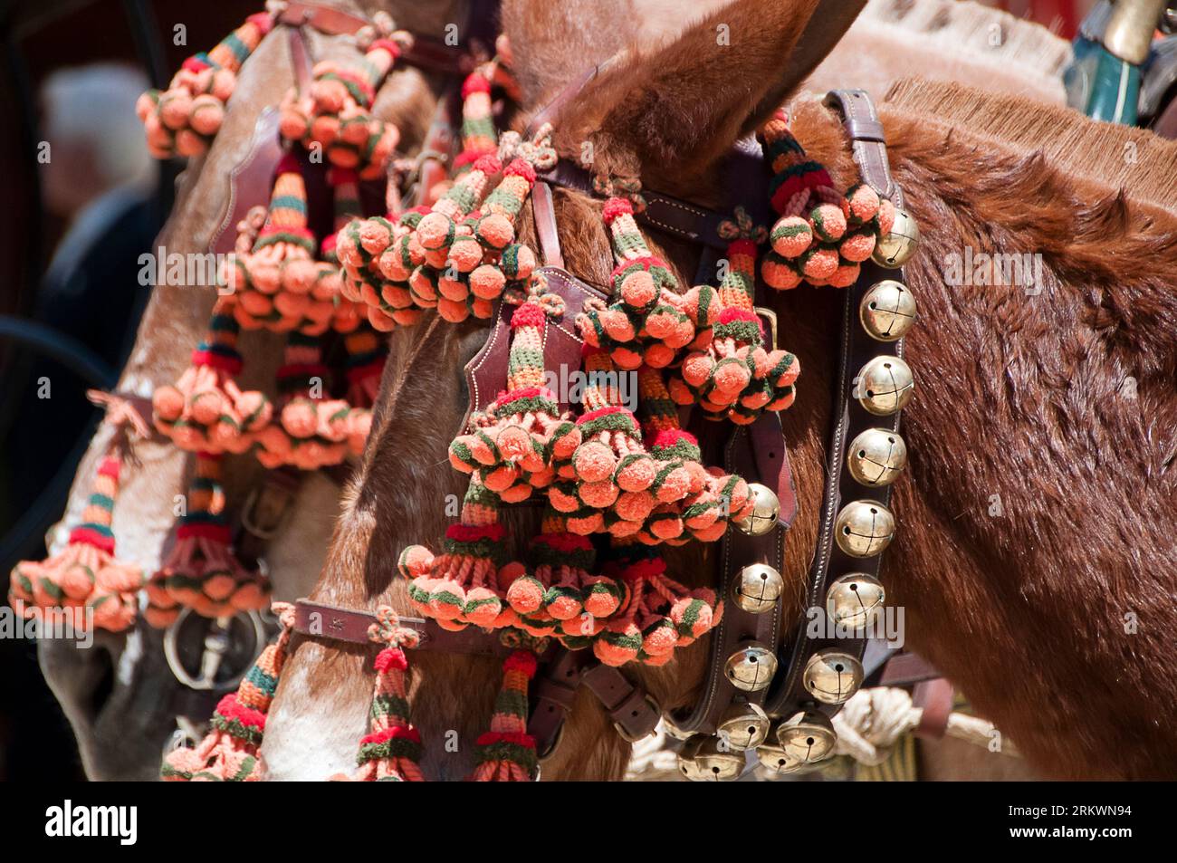 Horses in Seville's April fair Stock Photo