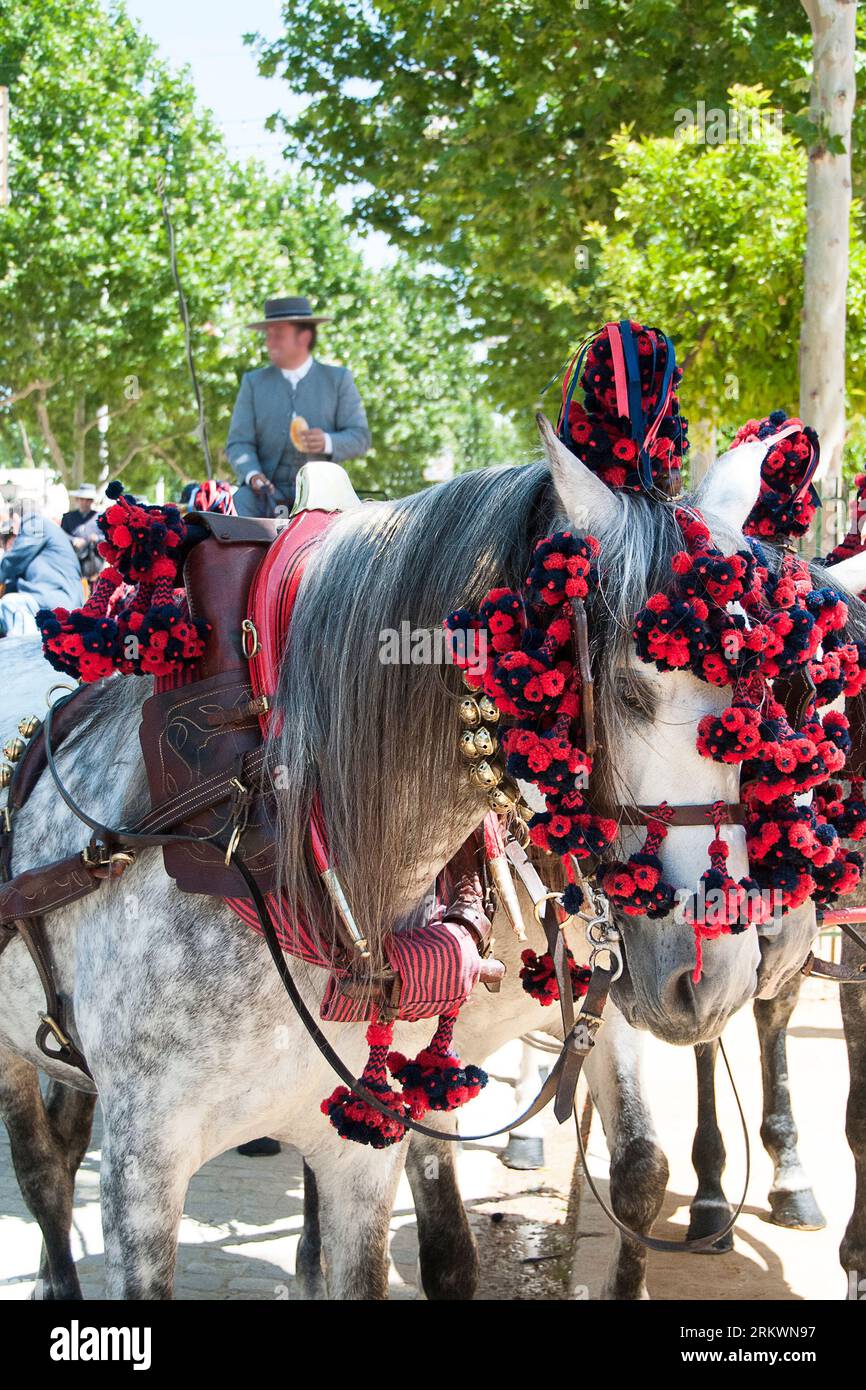 Horses in Seville's April fair Stock Photo - Alamy
