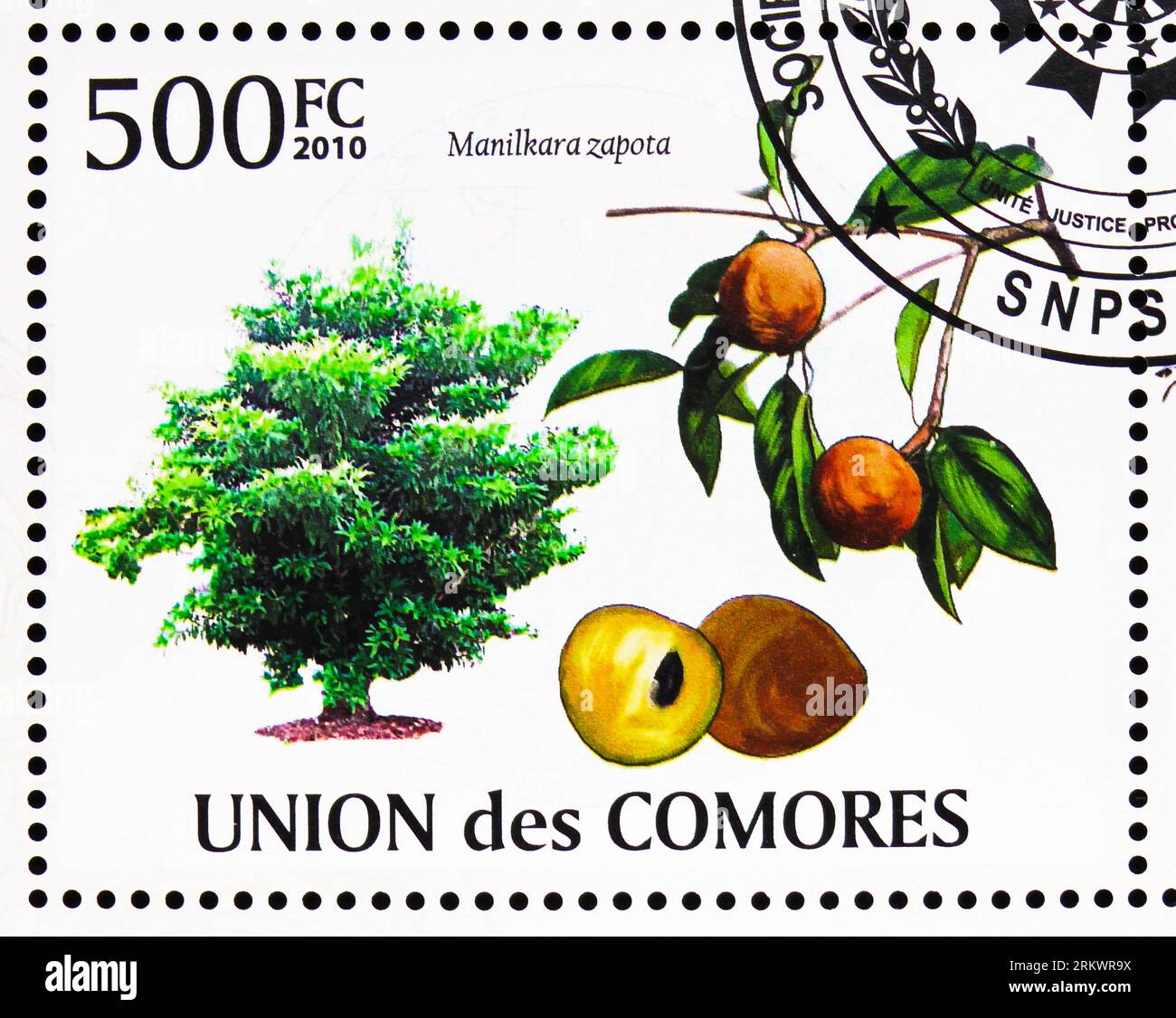 MOSCOW, RUSSIA - JULY 12, 2022: Postage stamp printed in Comoros shows Sapodilla (Manilkara zapota), Fruits serie, circa 2009 Stock Photo