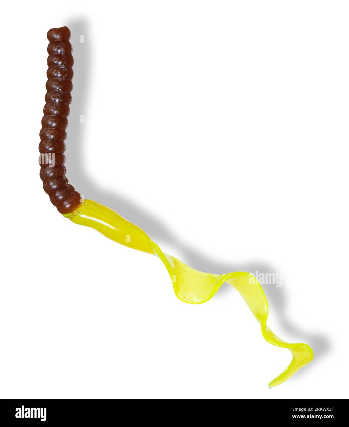 Brown and yellow artificial worm for fishing with a curly tail and shadow  underneath Stock Photo - Alamy