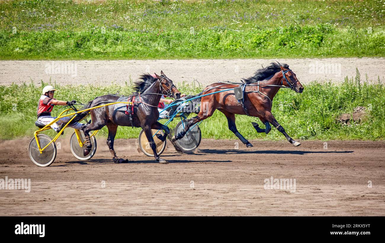 Kyiv Ukraine August 6, 2023 Hippodrome racing trotters Stock Photo