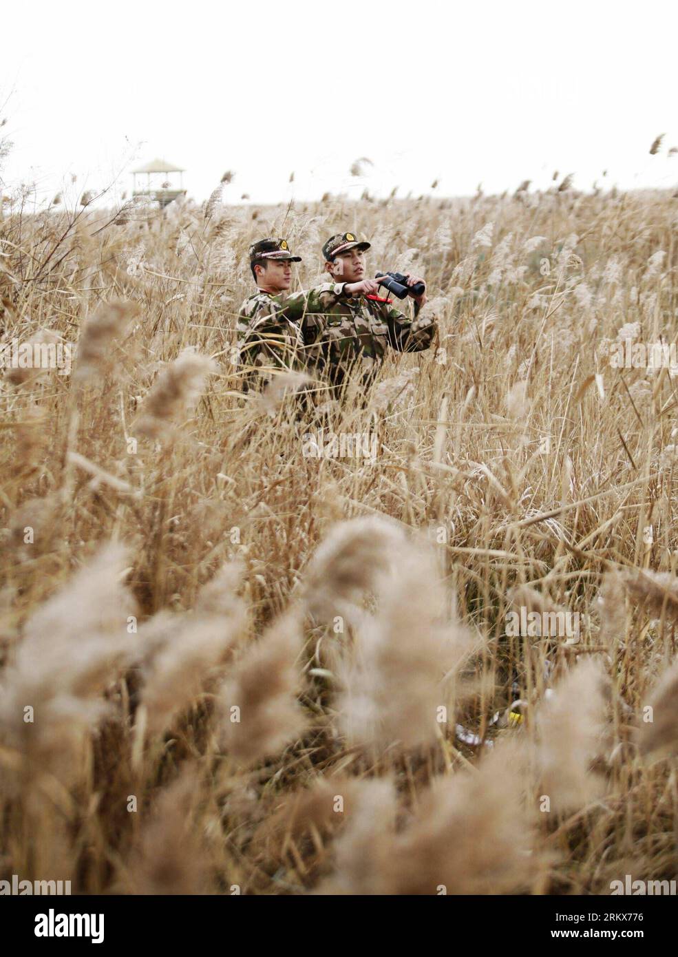 Armee reserve soldat hi-res stock photography and images - Alamy
