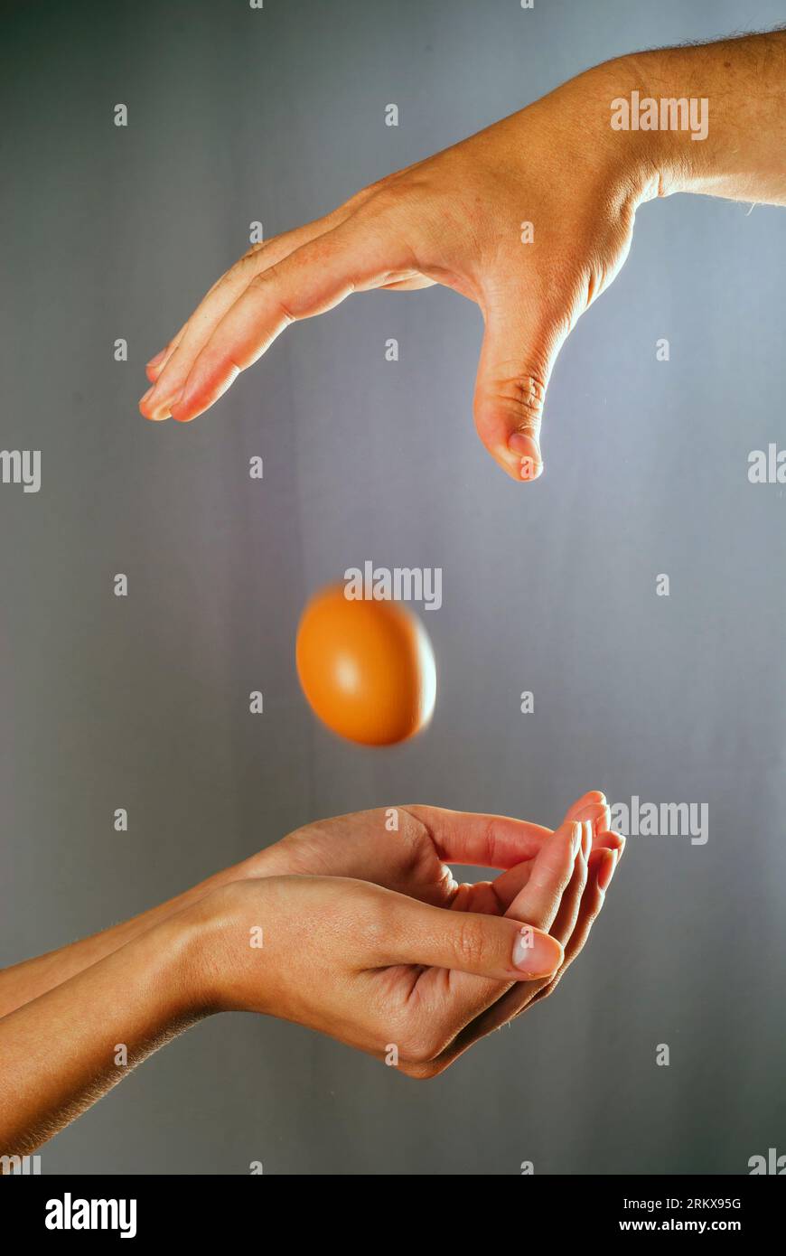 Chicken egg falling down from a man's hand to woman's hands. Trust and confidence conceptual photo Stock Photo