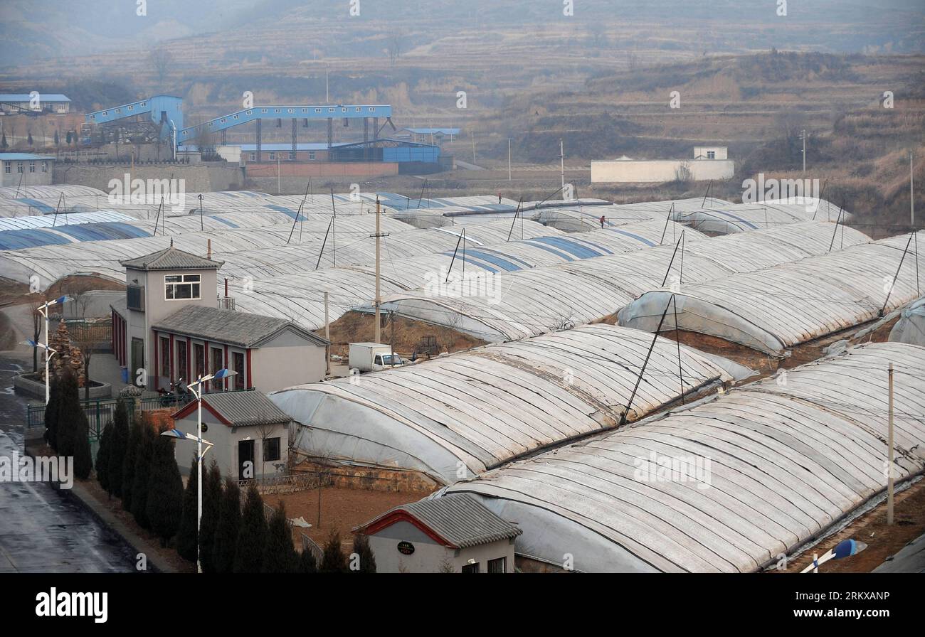 Bildnummer: 58929372  Datum: 11.12.2012  Copyright: imago/Xinhua TAIYUAN, Dec. 11, 2012 - Photo taken on Dec. 11, 2012 shows greenhouses in Jingadao Village of Changzhi County, north China s Shanxi Province. Jingadao Village of Changzhi County has formed a recycling economy. Villagers here use marsh gas as fuel after fermenting pig excrement, adopt clean sewage disposal system, produce natural fertilizer with animal excrement and plant green vegetables. (Xinhua/Yan Yan) (lfj) SHANXI-CHANGZHI-ENVIRONMENTAL FRIENDLY VILLAGE (CN) PUBLICATIONxNOTxINxCHN Wirtschaft Landwirtschaft Gewächshaus Gemüse Stock Photo