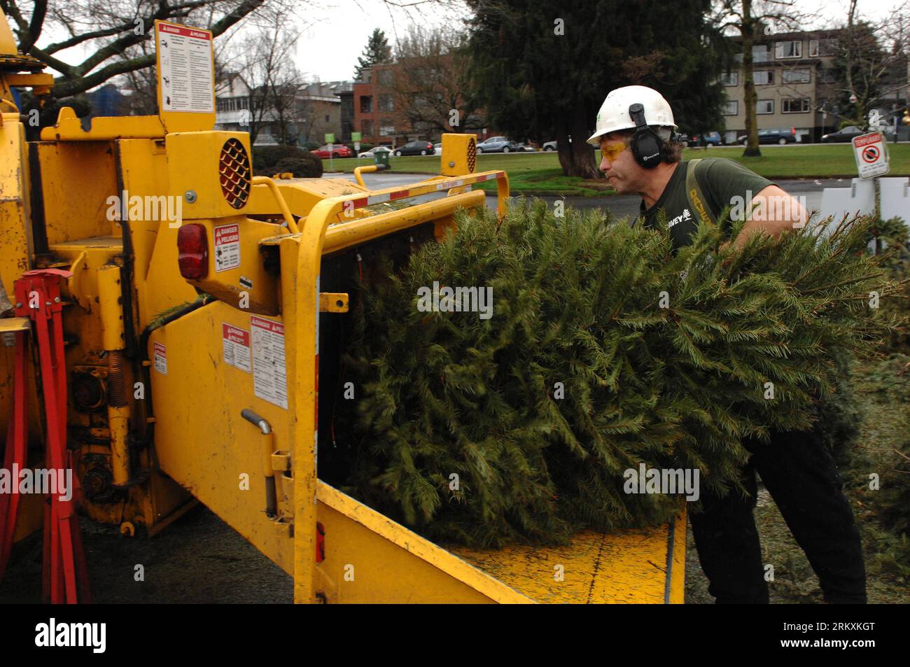 Chipper christmas hires stock photography and images Alamy