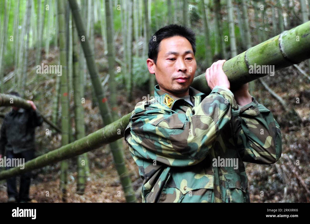 Cn ca hi-res stock photography and images - Page 16 - Alamy