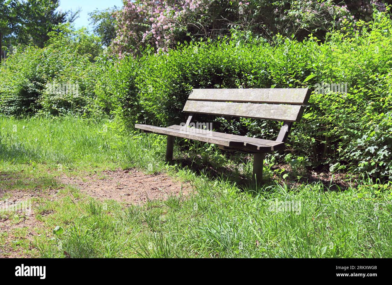 A Public Empty Bench Found In Northern Europe Stock Photo - Alamy