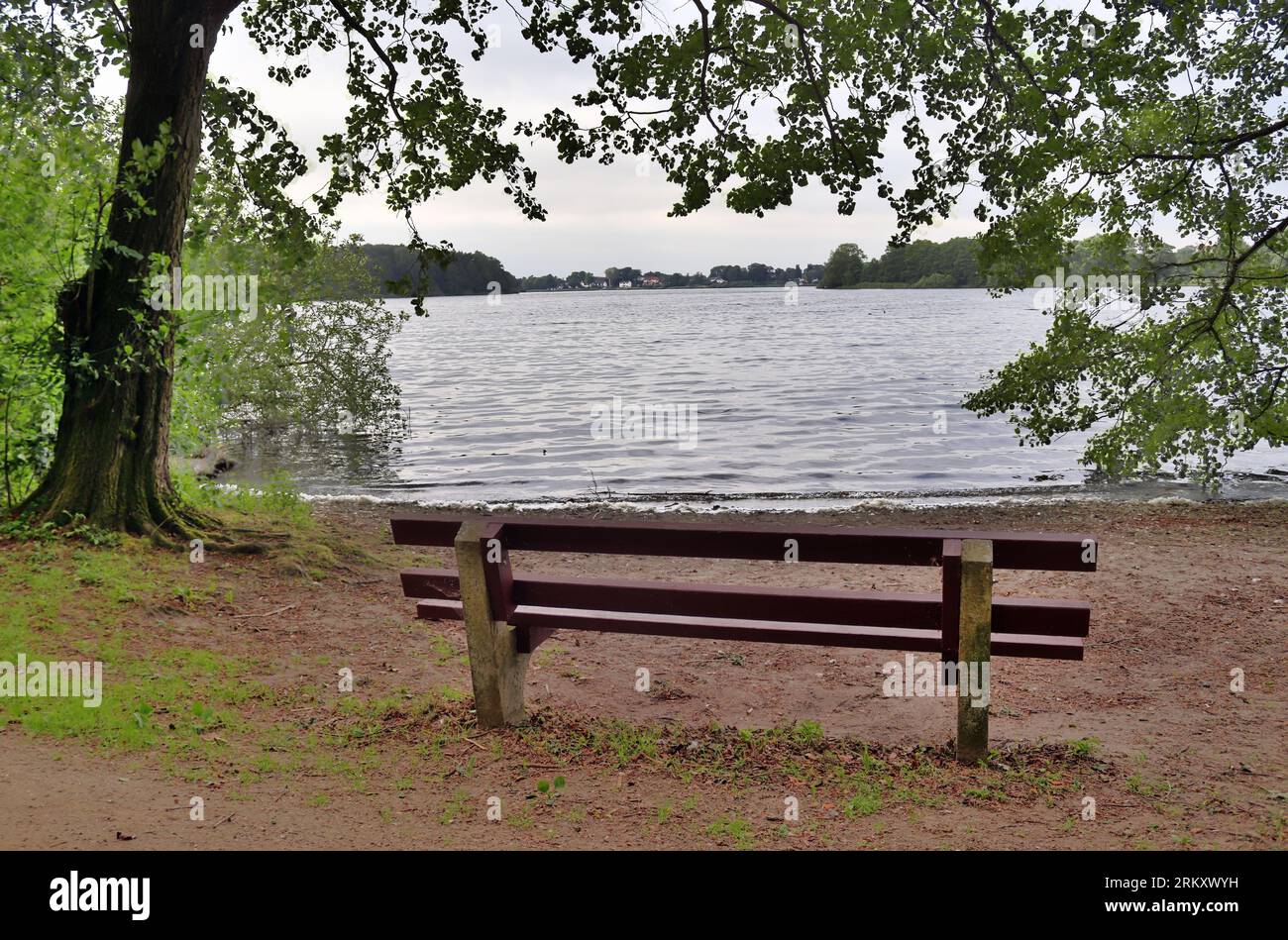 Nature table found object hi-res stock photography and images - Alamy